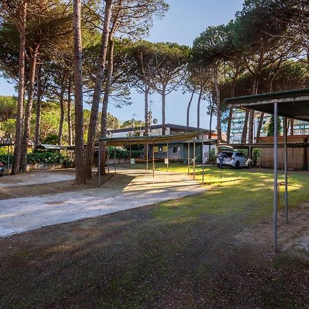 Hotel Picobello Pineta 利多迪迪耶索洛 外观 照片